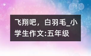 飛翔吧，白羽毛_小學生作文:五年級