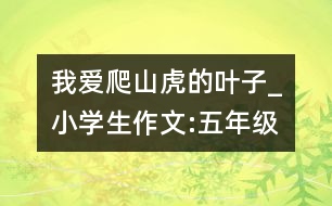 我愛爬山虎的葉子_小學(xué)生作文:五年級(jí)