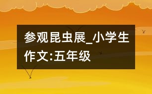 參觀“昆蟲展”_小學生作文:五年級