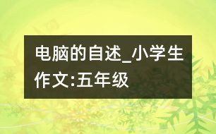 電腦的自述_小學生作文:五年級