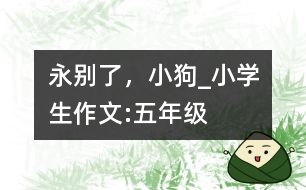 永別了，小狗_小學生作文:五年級