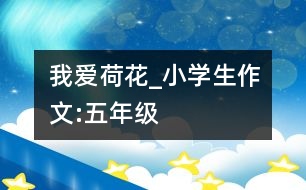 我愛荷花_小學(xué)生作文:五年級