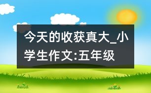 今天的收獲真大_小學生作文:五年級