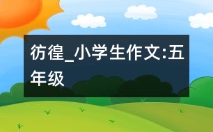 彷徨_小學(xué)生作文:五年級
