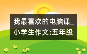 我最喜歡的電腦課_小學(xué)生作文:五年級