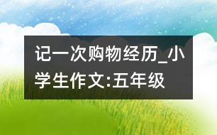 記一次購物經(jīng)歷_小學(xué)生作文:五年級(jí)