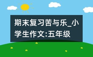 期末復(fù)習(xí)苦與樂(lè)_小學(xué)生作文:五年級(jí)