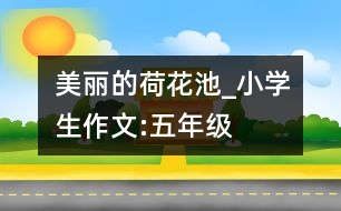 美麗的荷花池_小學(xué)生作文:五年級(jí)