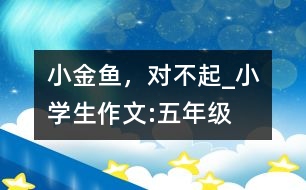 小金魚，對不起_小學(xué)生作文:五年級(jí)