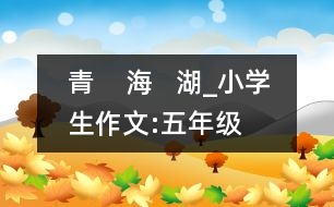 青    海   湖_小學生作文:五年級