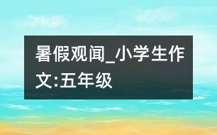暑假觀聞_小學生作文:五年級