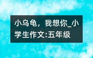 小烏龜，我想你_小學生作文:五年級
