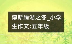 博斯騰湖之冬_小學生作文:五年級