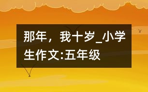 那年，我十歲_小學(xué)生作文:五年級