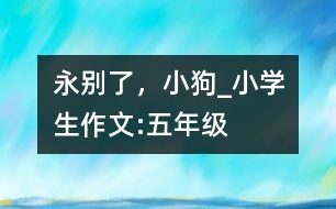 永別了，小狗_小學(xué)生作文:五年級