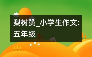 梨樹(shù)贊_小學(xué)生作文:五年級(jí)