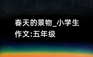 春天的景物_小學(xué)生作文:五年級