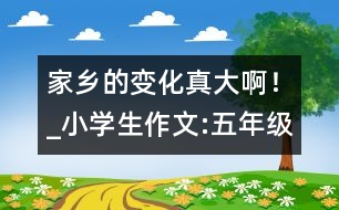 家鄉(xiāng)的變化真大啊！_小學(xué)生作文:五年級