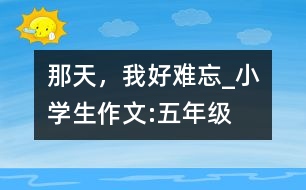 那天，我好難忘_小學(xué)生作文:五年級