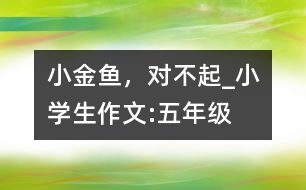 小金魚，對不起_小學(xué)生作文:五年級