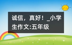 誠(chéng)信，真好！_小學(xué)生作文:五年級(jí)