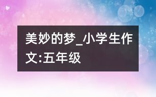 美妙的夢_小學生作文:五年級