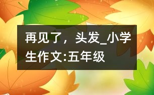 再見(jiàn)了，頭發(fā)_小學(xué)生作文:五年級(jí)