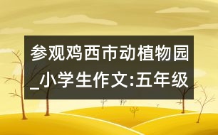 參觀雞西市動(dòng)植物園_小學(xué)生作文:五年級(jí)