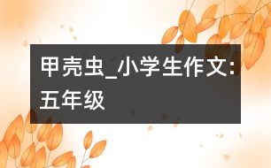 甲殼蟲(chóng)_小學(xué)生作文:五年級(jí)