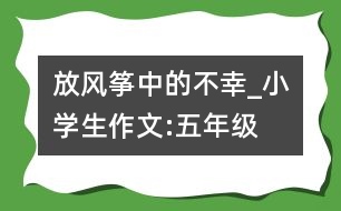 放風(fēng)箏中的不幸_小學(xué)生作文:五年級