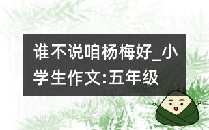 誰不說咱楊梅好_小學(xué)生作文:五年級(jí)
