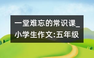 一堂難忘的常識課_小學生作文:五年級
