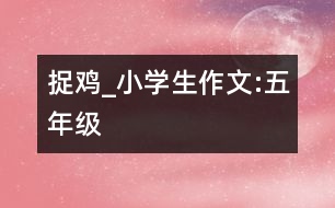 捉雞_小學(xué)生作文:五年級
