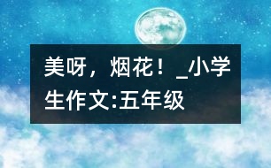 美呀，煙花！_小學(xué)生作文:五年級