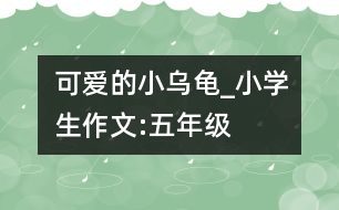 可愛的小烏龜_小學(xué)生作文:五年級