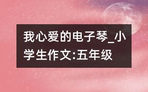 我心愛(ài)的電子琴_小學(xué)生作文:五年級(jí)