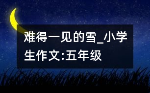 難得一見(jiàn)的雪_小學(xué)生作文:五年級(jí)