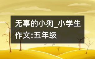無(wú)辜的小狗_小學(xué)生作文:五年級(jí)