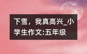下雪，我真高興_小學(xué)生作文:五年級(jí)