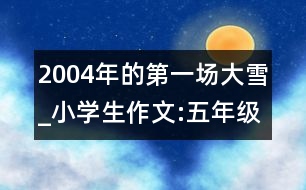 2004年的第一場(chǎng)大雪_小學(xué)生作文:五年級(jí)
