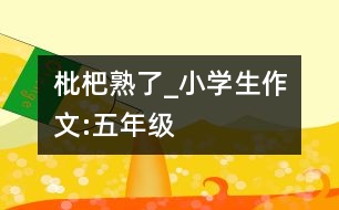 枇杷熟了_小學生作文:五年級