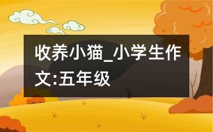 收養(yǎng)小貓_小學生作文:五年級