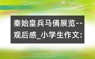 秦始皇兵馬俑展覽--觀后感_小學生作文:五年級