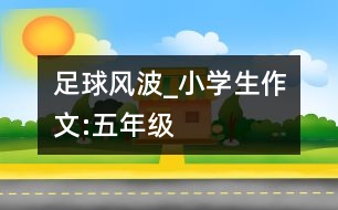 足球風(fēng)波_小學(xué)生作文:五年級(jí)
