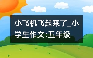 小飛機(jī)飛起來了_小學(xué)生作文:五年級