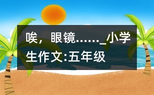 唉，眼鏡……_小學生作文:五年級