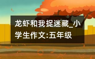 龍蝦和我捉迷藏_小學(xué)生作文:五年級