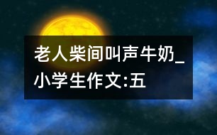 老人、柴間、叫聲、牛奶_小學(xué)生作文:五年級(jí)