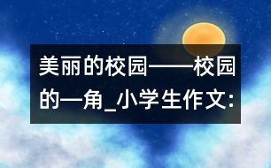 美麗的校園――校園的―角_小學(xué)生作文:五年級