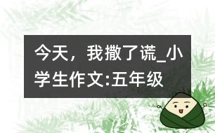 今天，我撒了謊_小學(xué)生作文:五年級(jí)